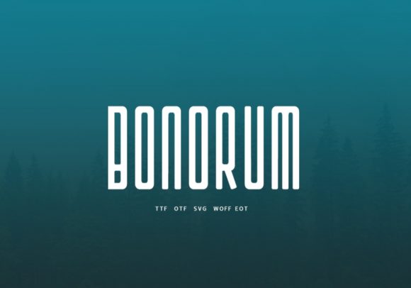 Bonorum: A Minimalist Font for Polished Branding