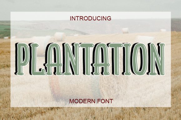 Plantation Font: A Playful Display Typeface for Creative Projects